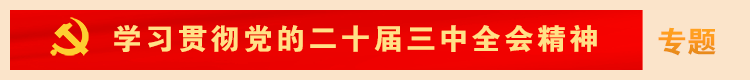 學習貫徹黨的二十屆三中全會精神